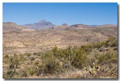 Looking North to Four Peaks (Elev 7645')