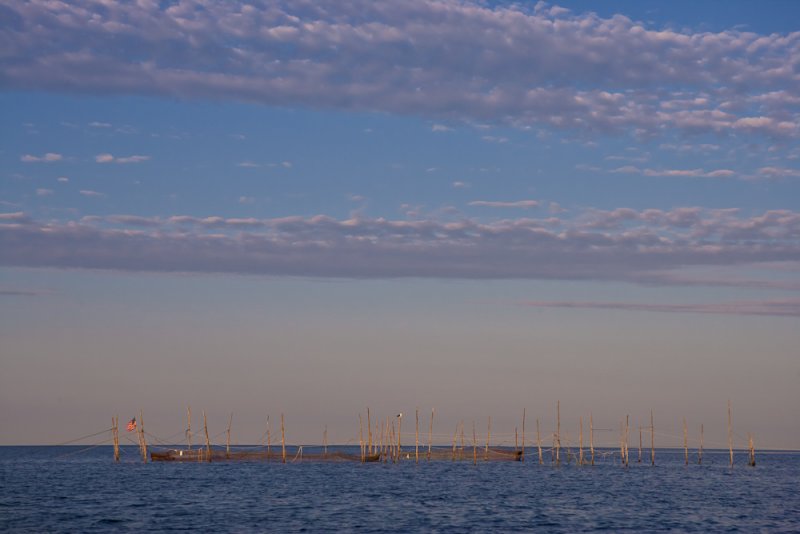 Weir_Fishing_Stage_Harbor-31.jpg
