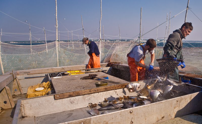Weir_Fishing_Stage_Harbor-39.jpg