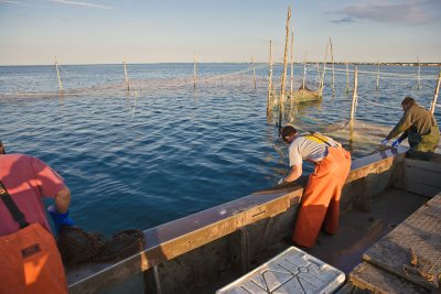 Weir_Fishing_Stage_Harbor-33.jpg