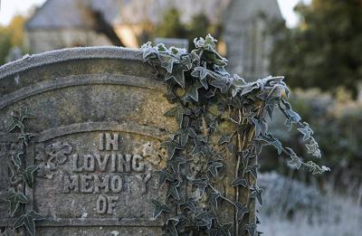 in loving memory 64AT4175_prem-02 copy.jpg