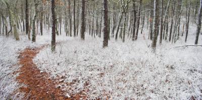 Winter Path : Trail of Tears