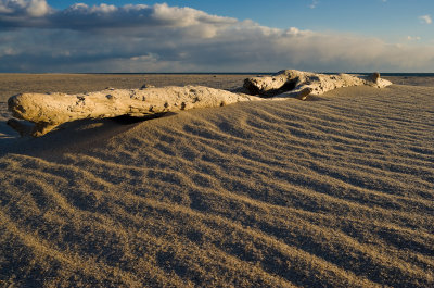 Drift log chatham south beach