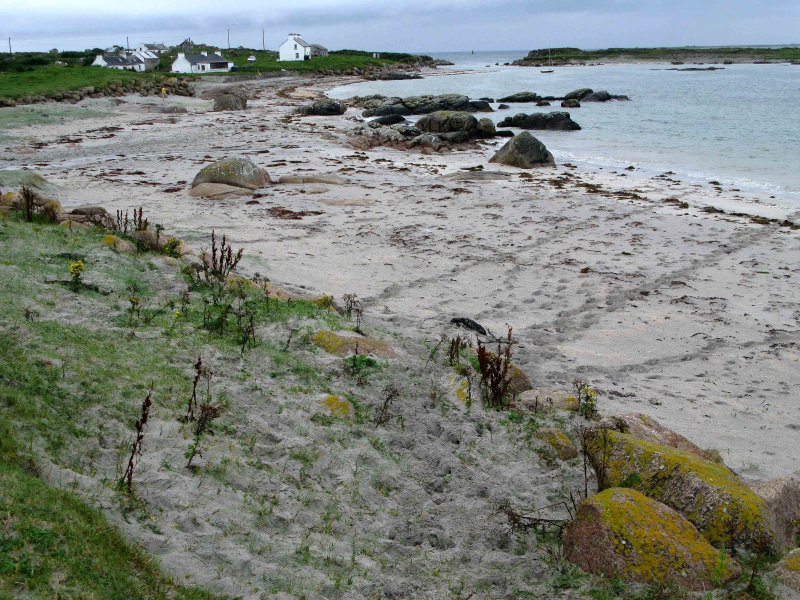 inishfree strand2.jpg