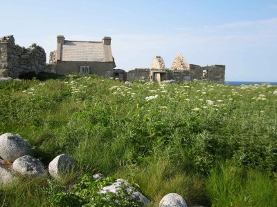 Flowers and house.jpg