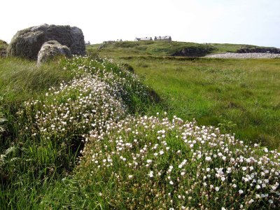 Houses on hill.jpg