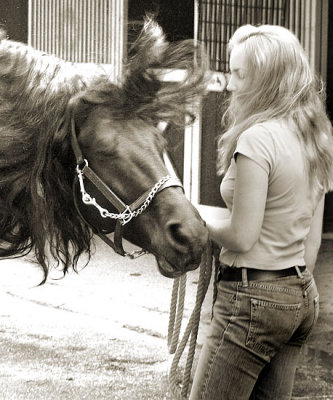 Women & Horses --- GRACEFUL - STRONG - DEPENDABLE - FUN!