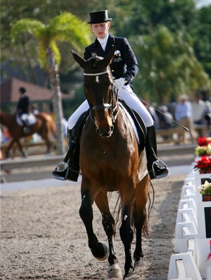 Dressage