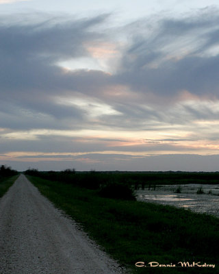 Marsh road
