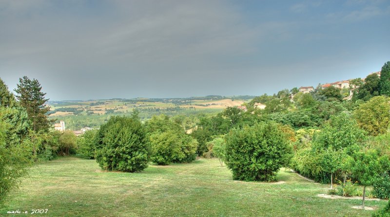DSC 102