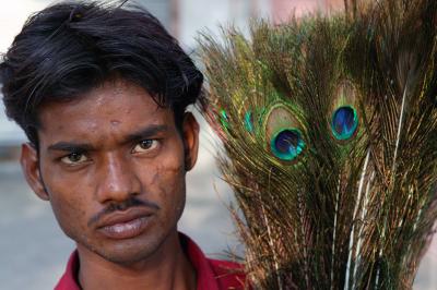 Vendor selling peacock feathers, Jaipur.