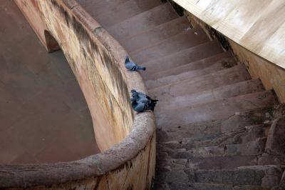 Staircase, pigeons Jantar Mantar, Jaipur.