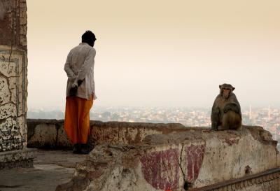 Man and monkey on the way to Galta temple, near Jaipur.
