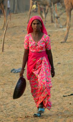 Camel herder, Pushkar.