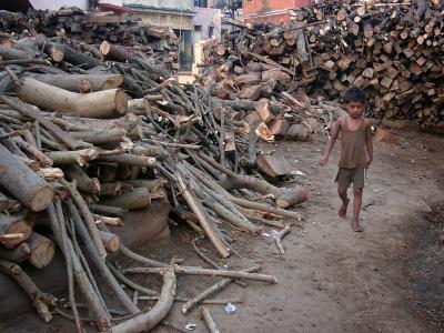 Young boy playing among wood piles, Manikarnika burning ghat, Varanasi.