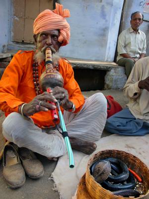 Snake charmer with cobras, Pushkar.