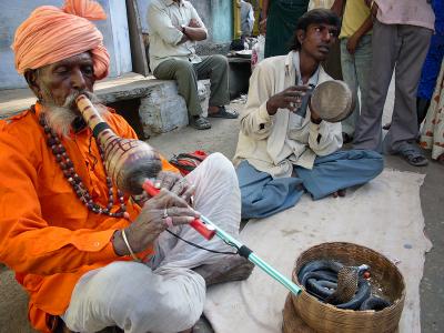 Snake charmer, cobras, and audience. Pushkar.