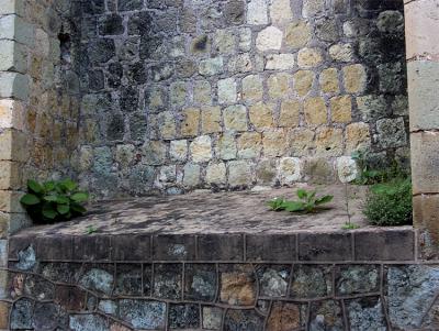 Old church wall, Oaxaca.