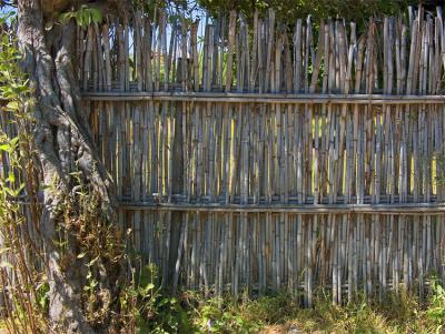 Bamboo fence, Oaxaca.