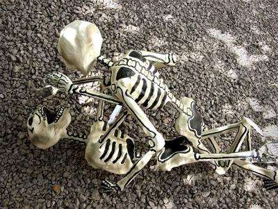 Paper mache skeletons wrestling, Oaxaca.