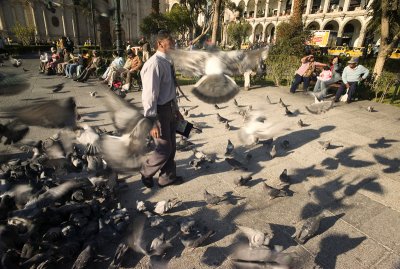 Preaching to people and pigeons, Arequipa.