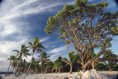 Aitutaki Cook Islands South Pacific
