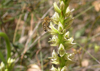 PA308321.jpg