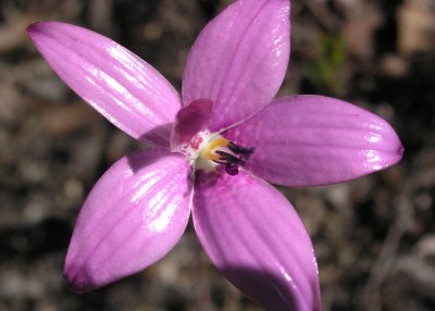 PB048435.jpg