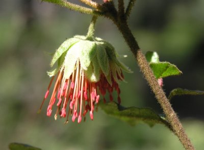 Pa291163.jpg