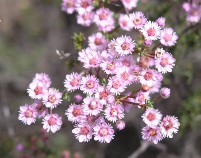 Pb041392.jpg