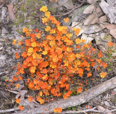 Pb041435.jpg