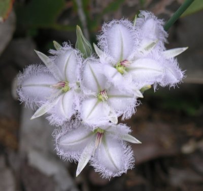 Pb111929.jpg