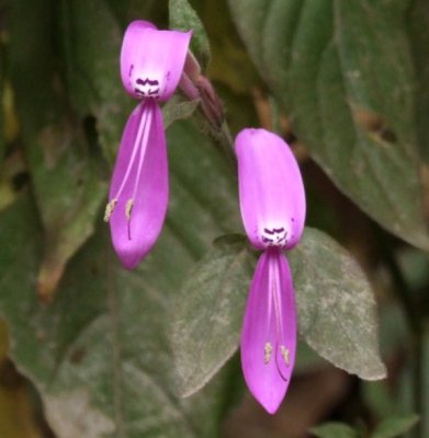 Dscf3329.jpg