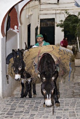 Casbah - Alger - Refuse collectors