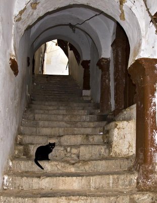 Casbah - Alger - Drawing the tongue out