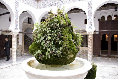 Casbah - Alger - The green fountain