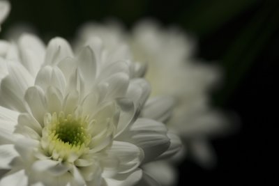 g3/63/710563/3/95206609.BEGdp6AK.jpg