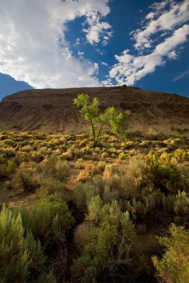 Pyramid Lake