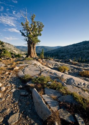 Desolation Wilderness