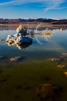 Mono Lake