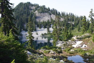 _MG_1333.JPG