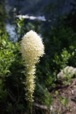 _MG_2784.JPG