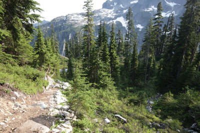 _MG_2849.JPG