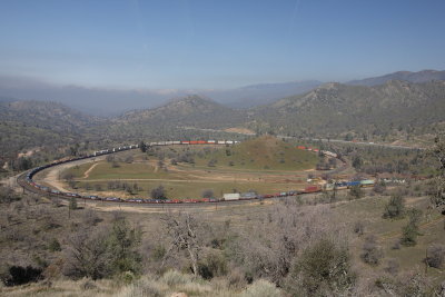 _MG_3902.JPG