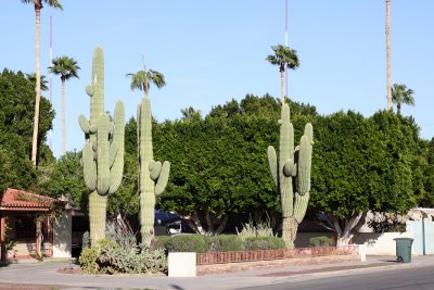 _MG_7783.JPG