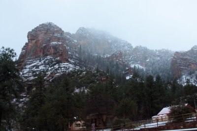 _MG_8205.JPG
