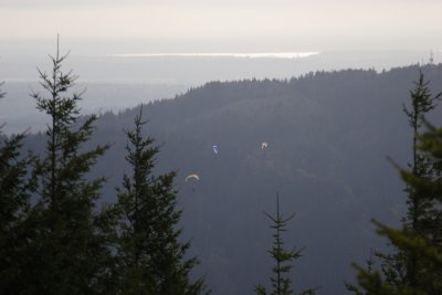 _MG_5786.JPG