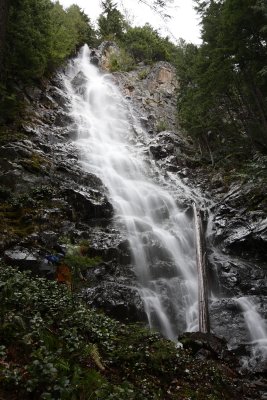 _MG_6100.JPG