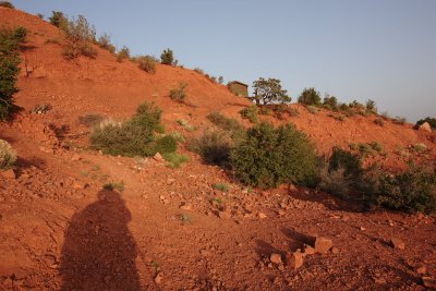 _MG_2428.JPG