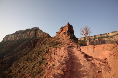 _MG_2445.JPG